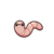 Deep Worm